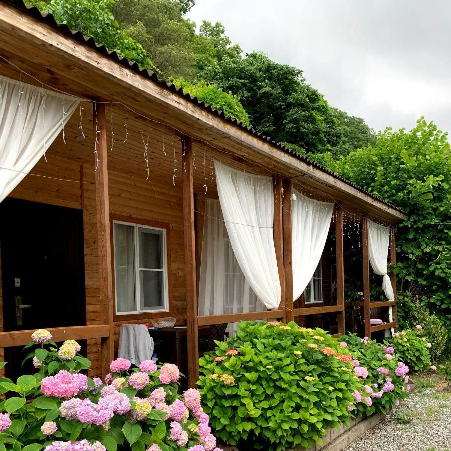 Guest House Ahan Gagra Ngoại thất bức ảnh